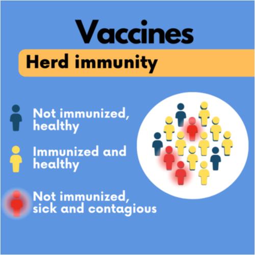 Vaccines and herd immunity.png