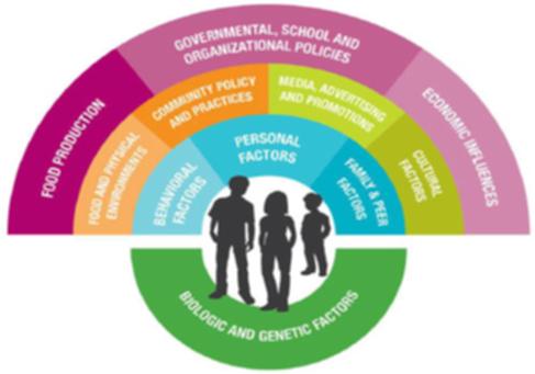 OBESITY_Socio-scientific issue.png