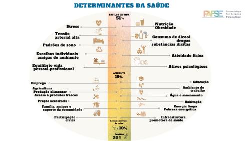 Determinantes da saúde.png