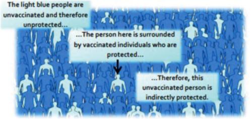 Herd immunity_in english learning activities.png