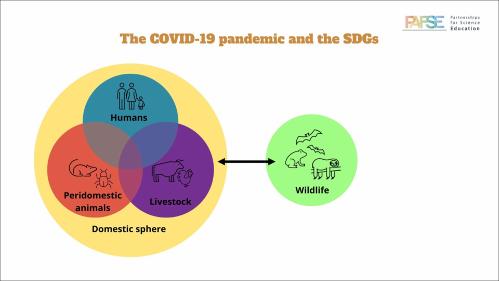 COVID-19 and SDGs- Eng.jpg