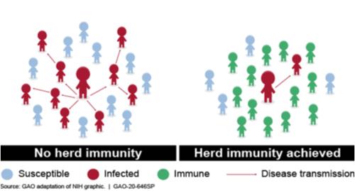 Herd Immunity.png