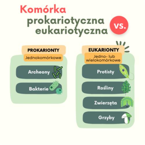 Komórka prokariotyczna i eukariotyczna.png