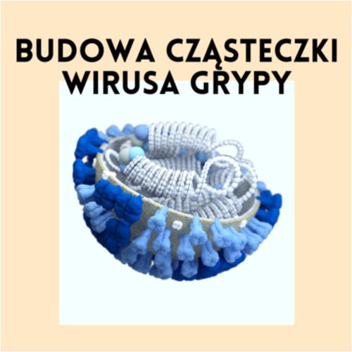 Budowa cząsteczki wirusa.png