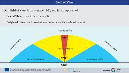 Field of View_Capa.png