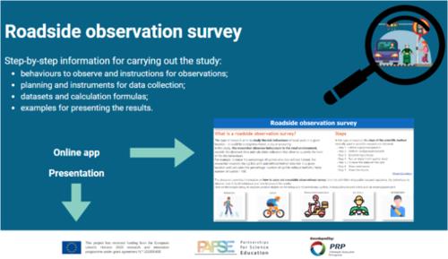 DLO2 - Roadside observation survey.PNG