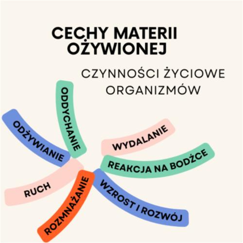 Cechy materii ożywionej.png