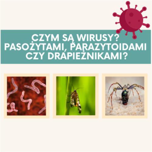 Czym są wirusy.png