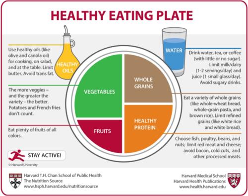 Healthy Eating Plate1.png