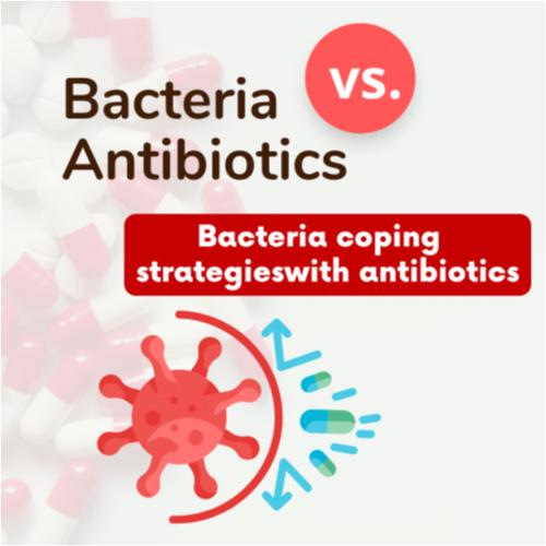 Bacteria coping strategies with antibiotics.png