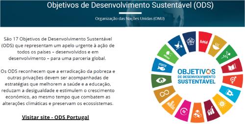 DER10 - Objetivos de Desenvolvimento Sustentável (ODS).PNG